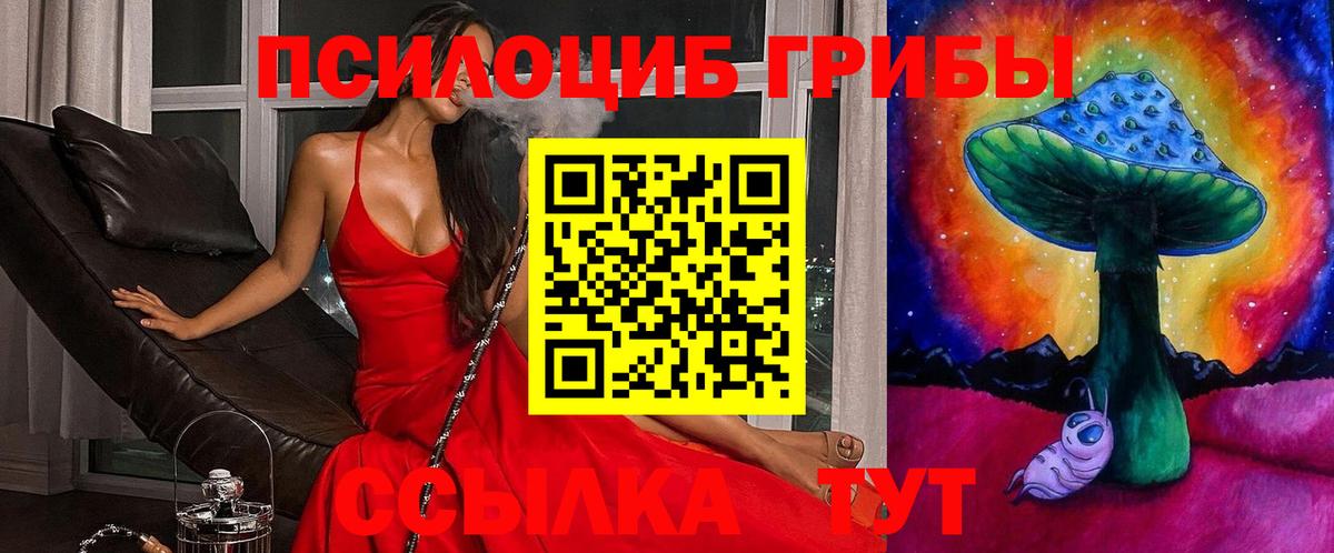 Псилоцибиновые грибы мухоморы  Псилоцибиновые грибы ЛСД  Дзержинск  Вход с VPN 